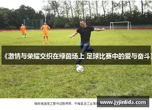 《激情与荣耀交织在绿茵场上 足球比赛中的爱与奋斗》