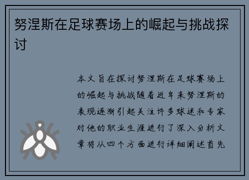 努涅斯在足球赛场上的崛起与挑战探讨