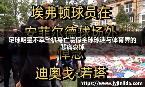 必一运动bsport体育